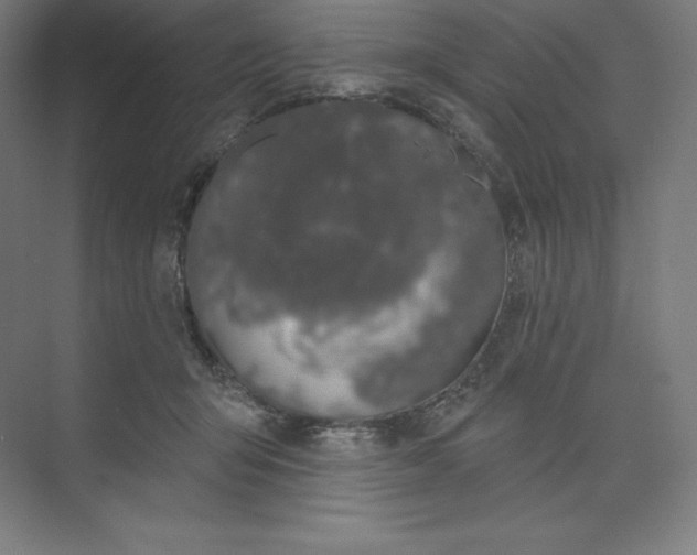 X0000074020415200609061121