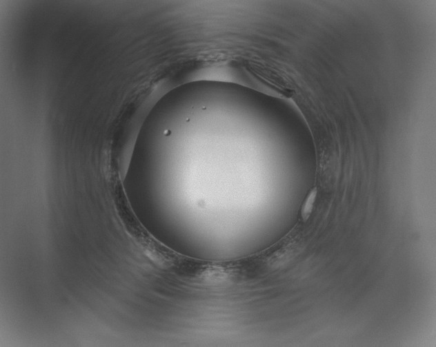 X0000074020416200609061121