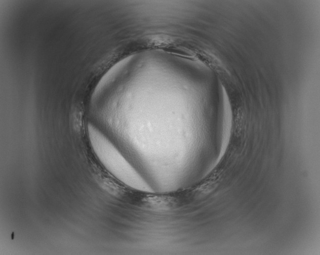 X0000074020417200609061120