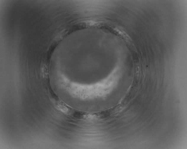 X0000074020419200609061120