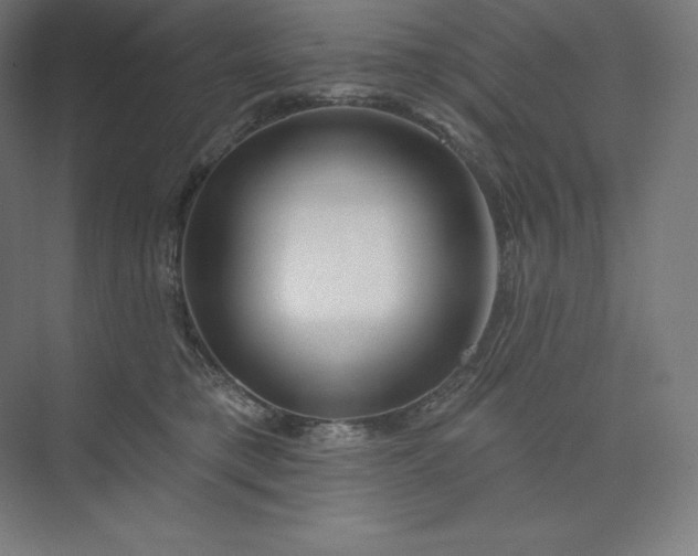 X0000074020421200609061120