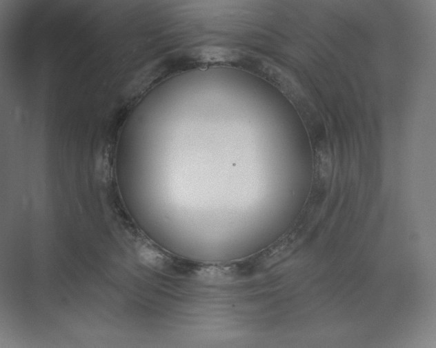 X0000074020422200609061120