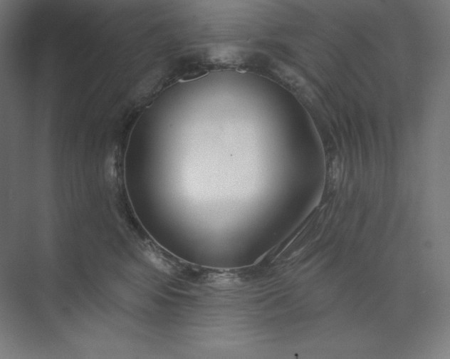 X0000074020424200609061120