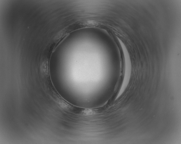 X0000074020425200609061120