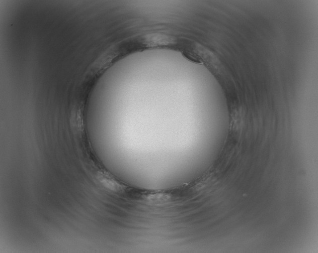 X0000074020426200609061120