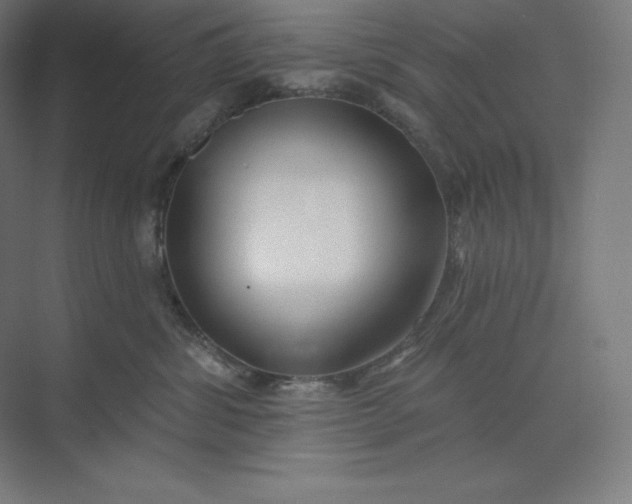 X0000074020428200609061120