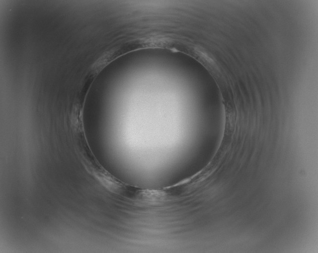 X0000074020429200609061120