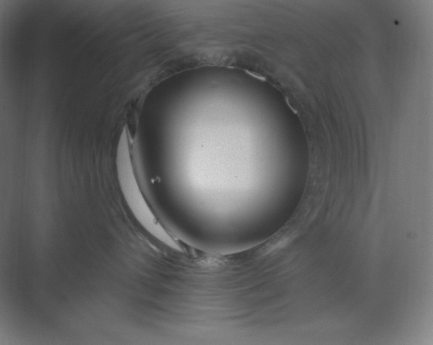 X0000074020432200609061120