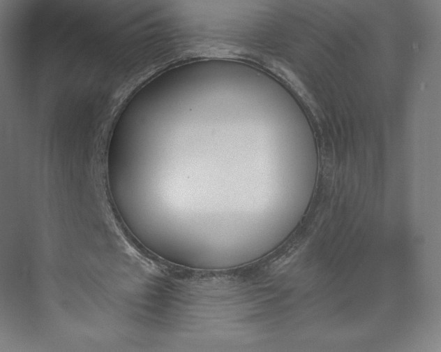 X0000074020433200609061119