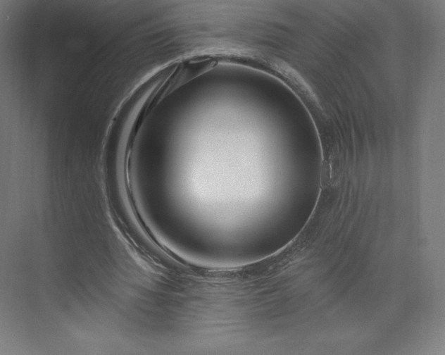 X0000074020436200609061119
