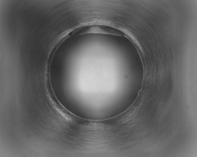 X0000074020437200609061119