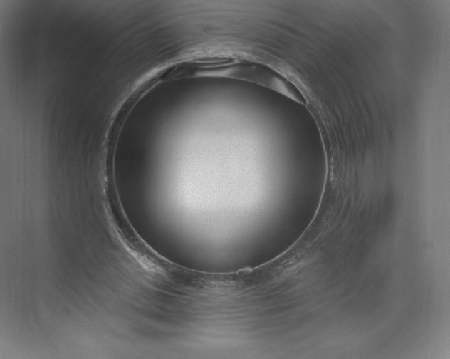 X0000074020438200609061120