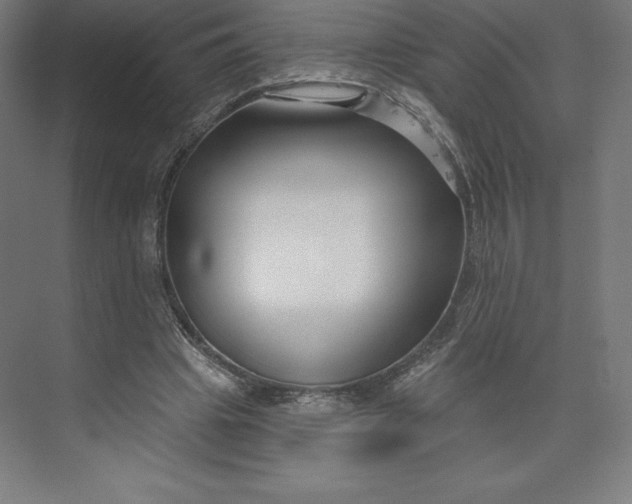 X0000074020441200609061120