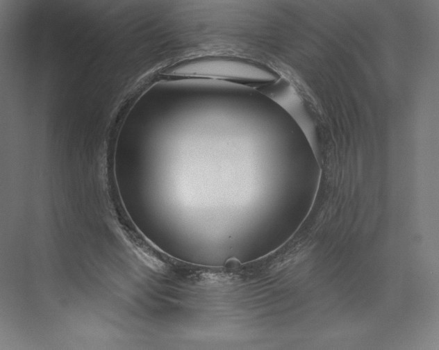 X0000074020442200609061120