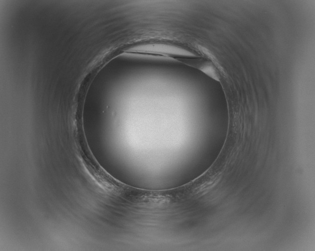 X0000074020443200609061120