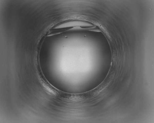 X0000074020445200609061120