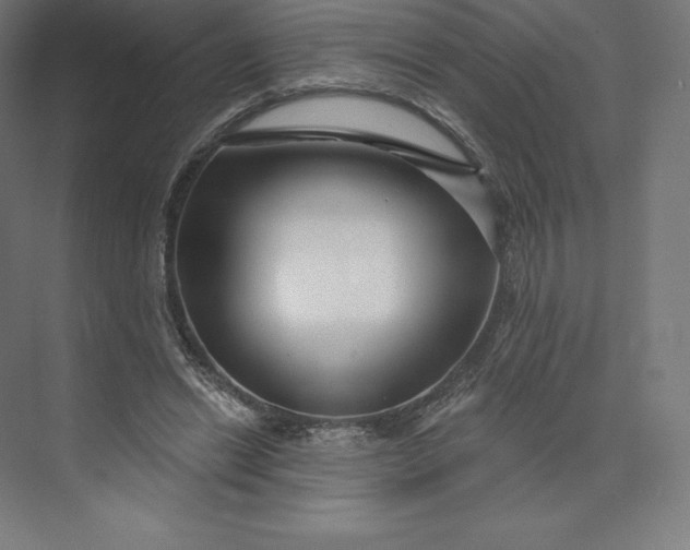 X0000074020446200609061120