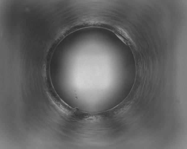 X0000074020447200609061120