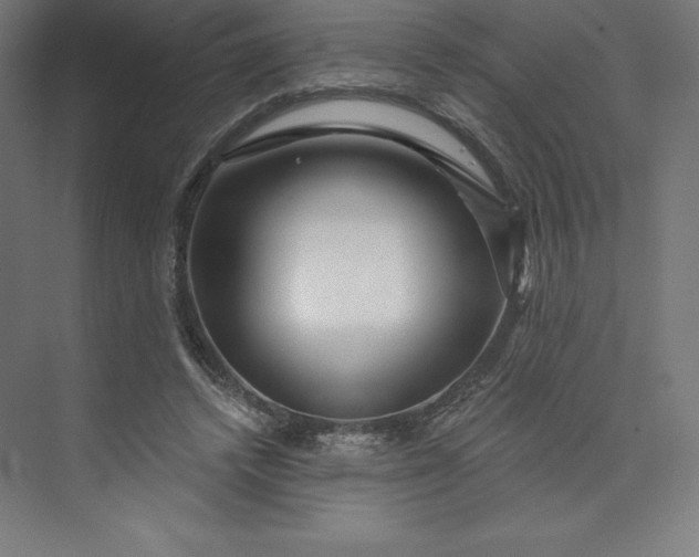 X0000074020448200609061120