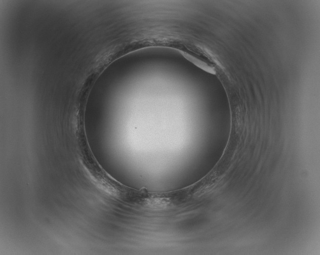X0000074020451200609061120