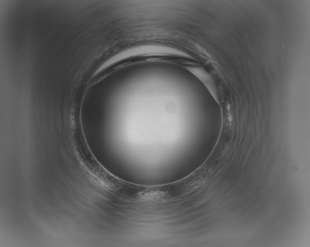 X0000074020452200609061120