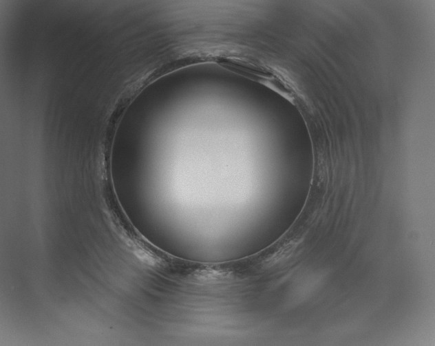 X0000074020453200609061120