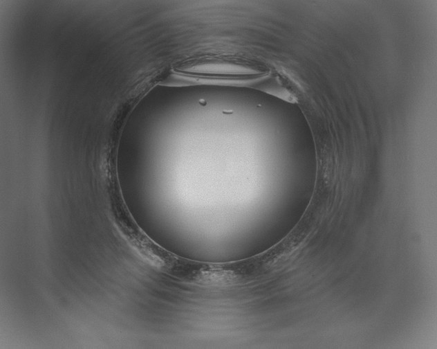 X0000074020455200609061120