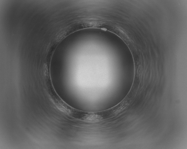 X0000074020459200609061120