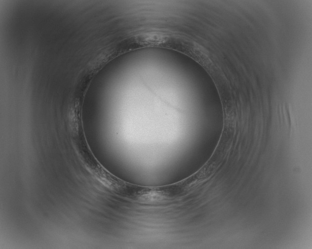 X0000074020460200609061120