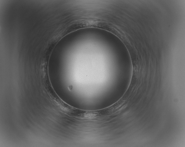 X0000074020462200609061120
