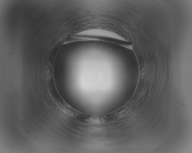 X0000074020464200609061120