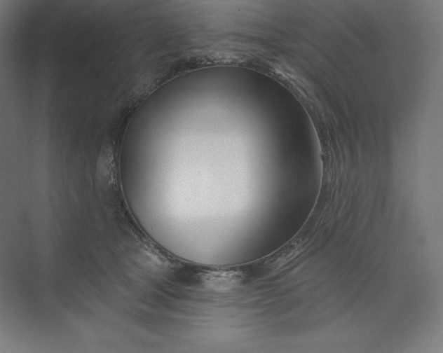 X0000074020465200609061120