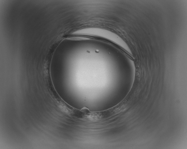 X0000074020466200609061120