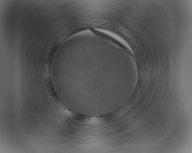 X0000074020467200609061120