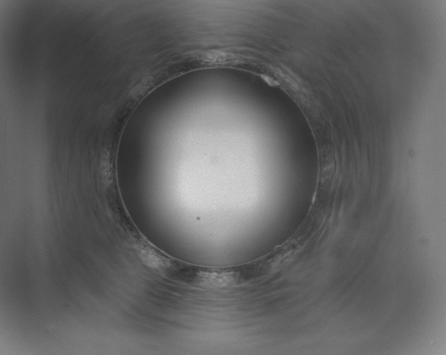 X0000074020469200609061120