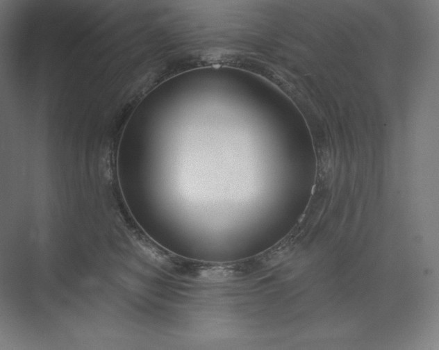 X0000074020470200609061120