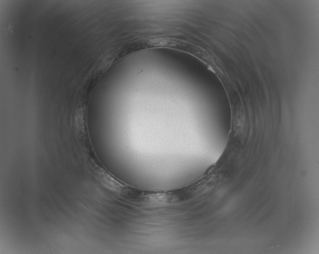X0000074020473200609061120