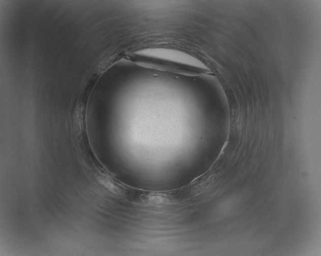 X0000074020475200609061120