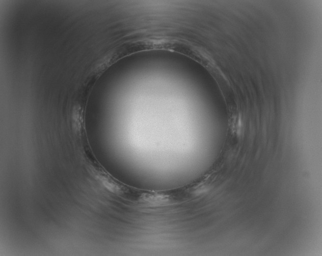 X0000074020476200609061120