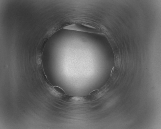X0000074020477200609061120