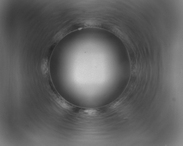 X0000074020478200609061120