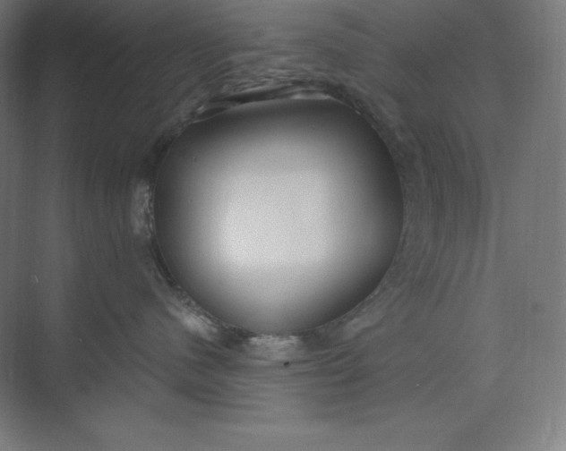 X0000074020480200609061120