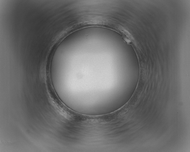 X0000074020482200609061119