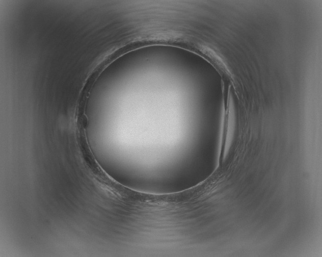 X0000074020483200609061119