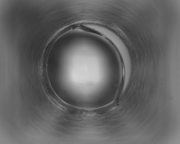X0000074020484200609061119