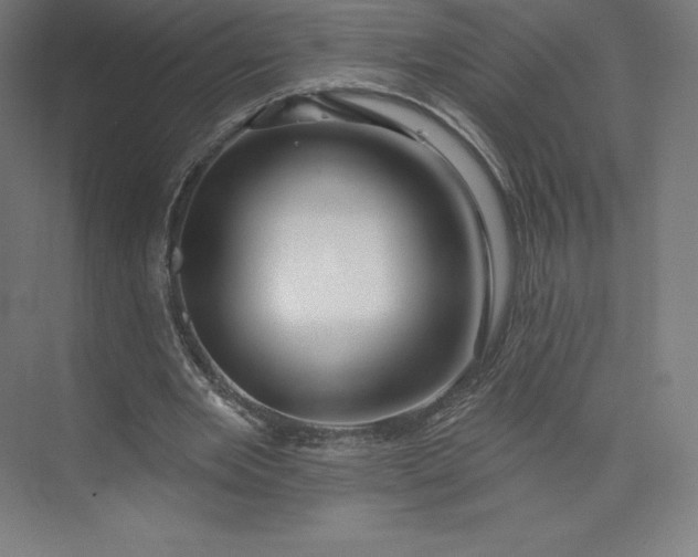X0000074020485200609061119