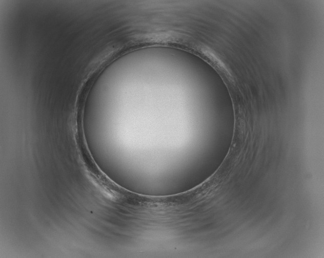 X0000074020486200609061119