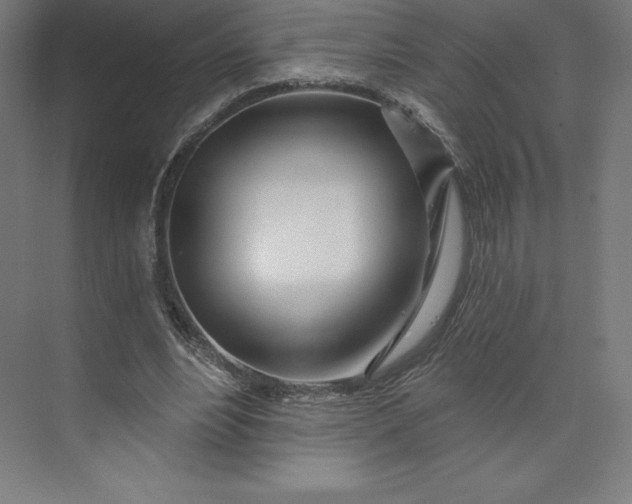 X0000074020488200609061119