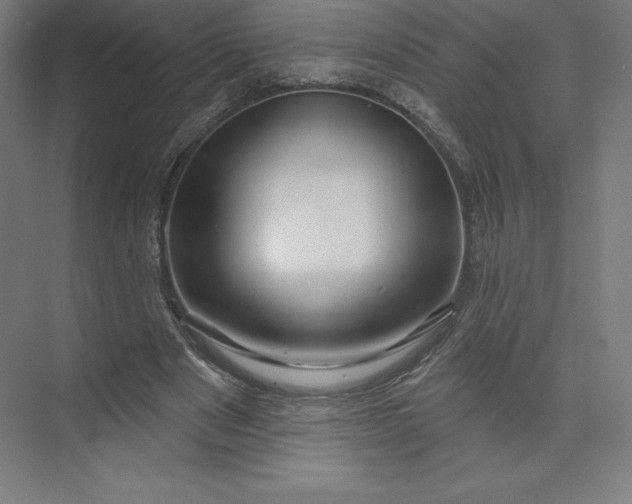 X0000074020489200609061119