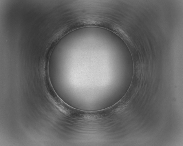 X0000074020490200609061119